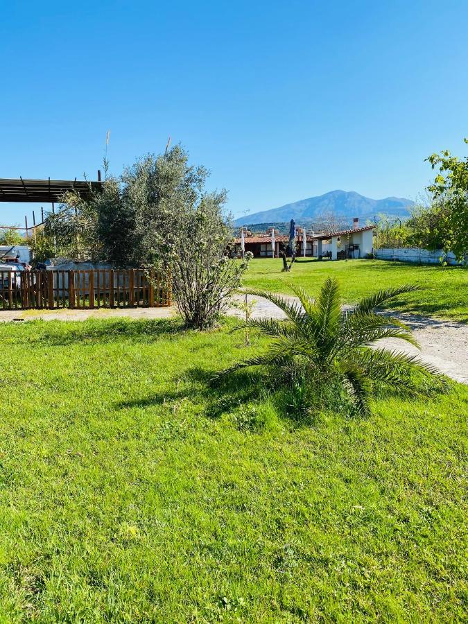 Village Dimopoulos Rodhodháfni Exterior foto